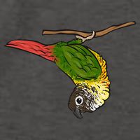 Green Cheek Conure Parrot Bird Conure Vector Backpack