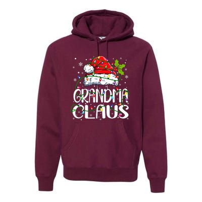 Grandma Claus Christmas Lights Pajama Family Matching Premium Hoodie