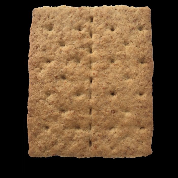 Graham Cracker Camping And Smores Group Halloween Costume Gift Flexfit Unipanel Trucker Cap