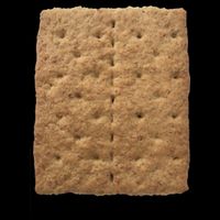 Graham Cracker Camping And Smores Group Halloween Costume Gift Impact Tech Backpack
