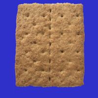 Graham Cracker Camping And Smores Group Halloween Costume Gift 16 in Basic Backpack