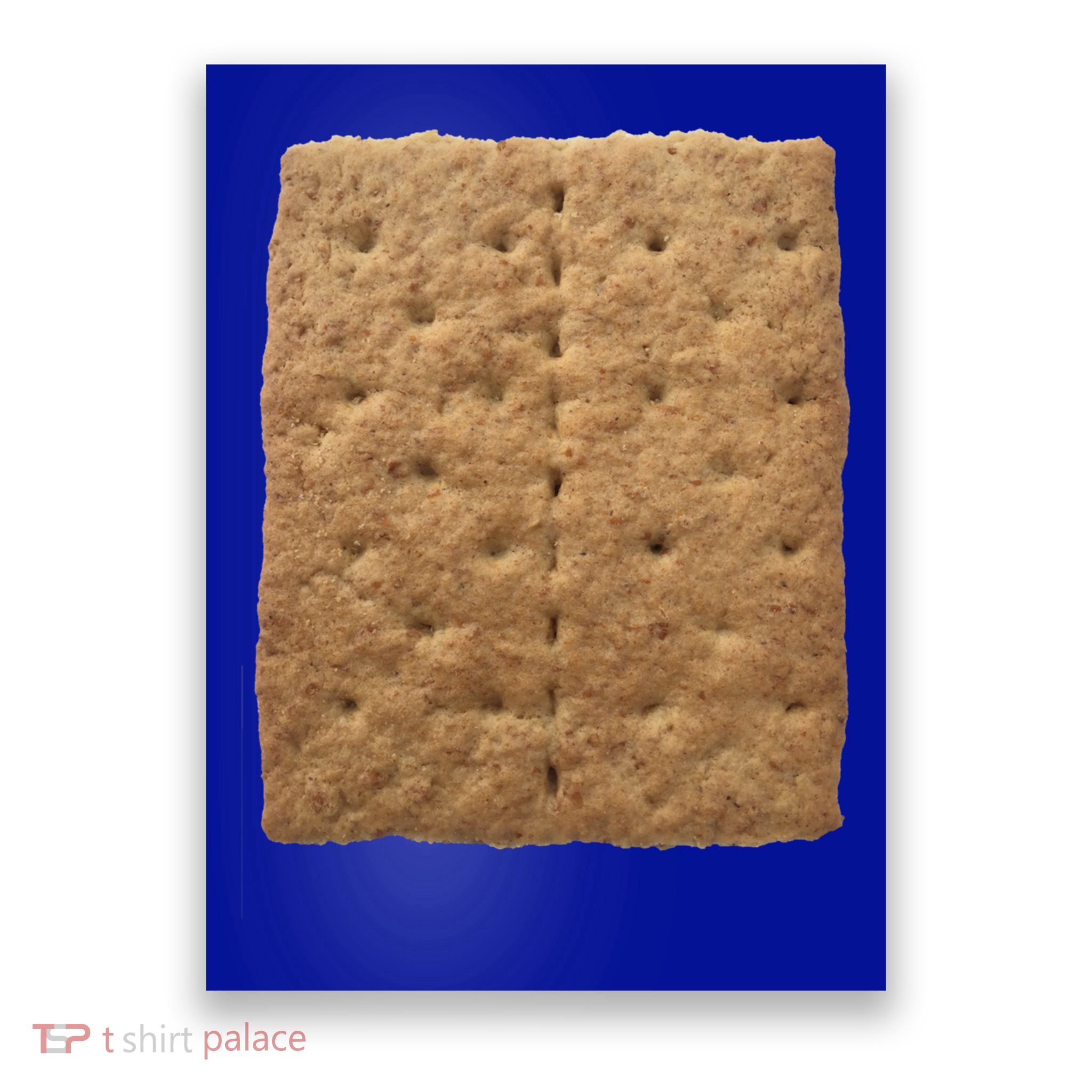 Graham Cracker Camping And Smores Group Halloween Costume Gift Poster
