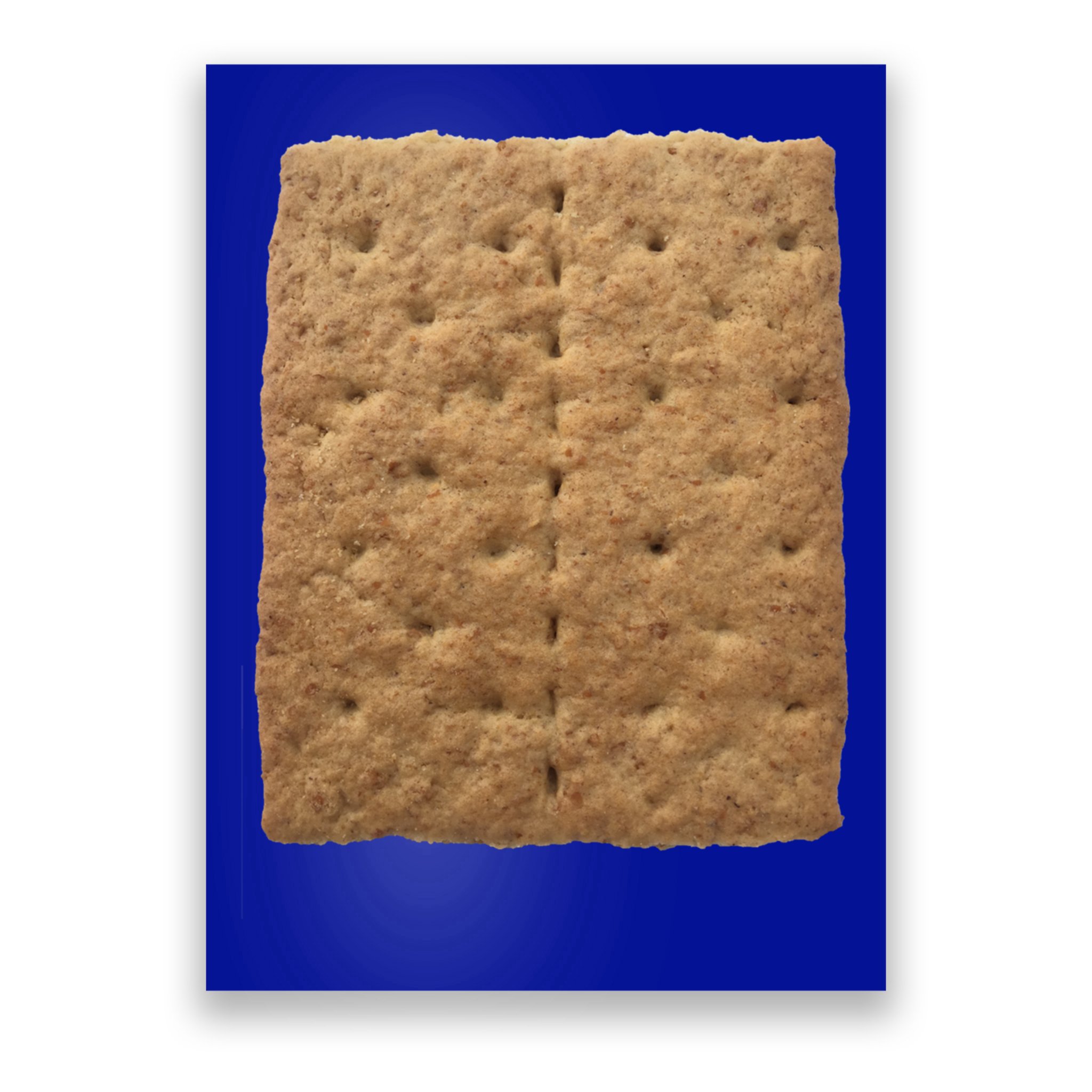 Graham Cracker Camping And Smores Group Halloween Costume Gift Poster