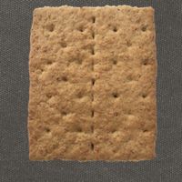 Graham Cracker Camping And Smores Group Halloween Costume Gift Cotton Canvas Backpack