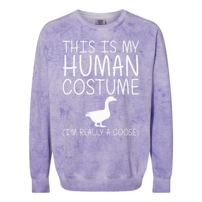 Goose Costume Fun DIY Halloween Gift for Waterfowl Lovers Colorblast Crewneck Sweatshirt