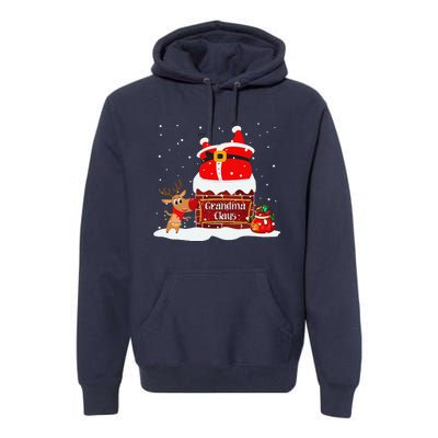 Grandma Claus Fat Santa Stuck In The Chimney Christmas Premium Hoodie