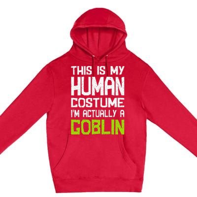 Goblin Creature Fantasy World Goblin Leprechaun Costume Premium Pullover Hoodie