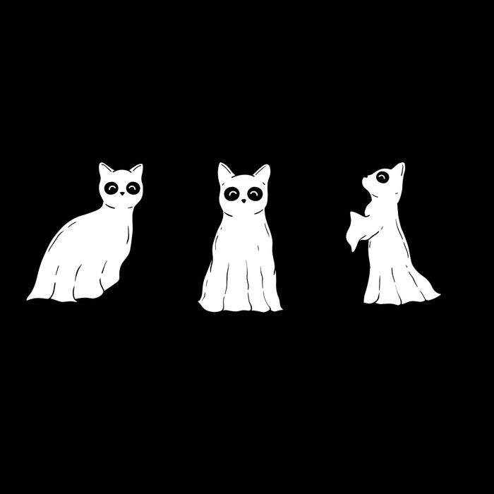 Ghost Cats Funny Halloween 16 in Basic Backpack