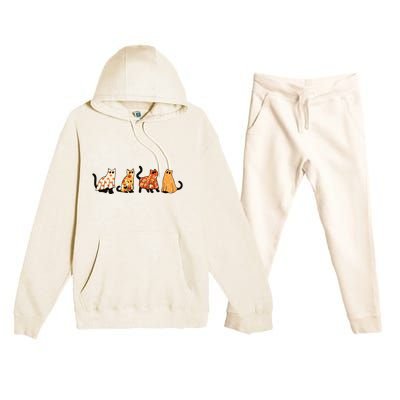 Ghost Cats Funny Halloween Cat Premium Hooded Sweatsuit Set