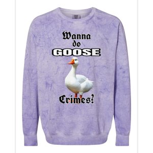 Goose Crimes Colorblast Crewneck Sweatshirt