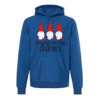 Gnome Christmas Gift Hanging With My Gnomies Cute Gift Premium Hoodie