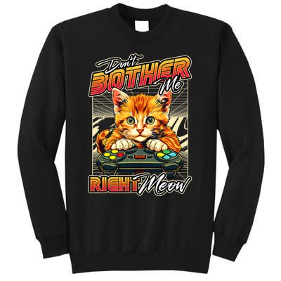 Gamer Cat Gaming Video Game & Cat Lover Sweatshirt