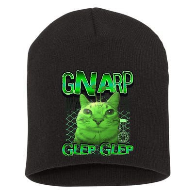 Gnarp Cat Silly Alien Cat Meme Brainrot Gen Z Meme Short Acrylic Beanie