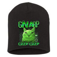 Gnarp Cat Silly Alien Cat Meme Brainrot Gen Z Meme Short Acrylic Beanie