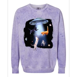 Galaxy Cat Space Kitty Planets Galaxy Colorblast Crewneck Sweatshirt