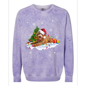 Goldendoodle Christmas Santa Hat Fairy Lights Pajama Funny Gift Colorblast Crewneck Sweatshirt