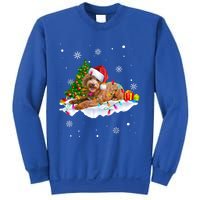 Goldendoodle Christmas Santa Hat Fairy Lights Pajama Funny Gift Sweatshirt