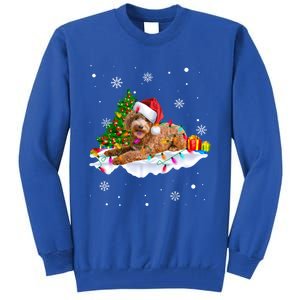 Goldendoodle Christmas Santa Hat Fairy Lights Pajama Funny Gift Tall Sweatshirt