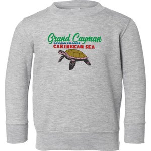 Grand Cayman Sea Turtles Toddler Sweatshirt