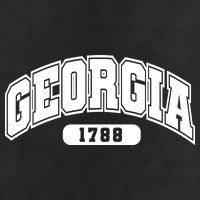 Georgia Collegiate Style 1788 Adult Drive Performance Visor