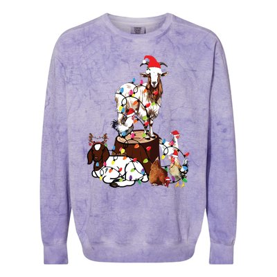 Goat Chicken Santa Hat Reindeer Christmas Lights Farm Animal Colorblast Crewneck Sweatshirt