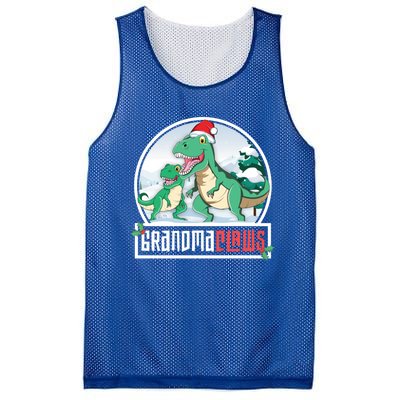 Grandma Claws Trex Dinosaur Matching Family Christmas Meaningful Gift Mesh Reversible Basketball Jersey Tank