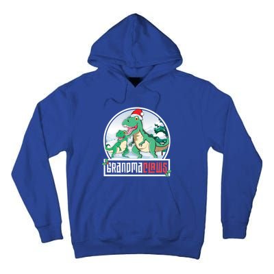 Grandma Claws Trex Dinosaur Matching Family Christmas Meaningful Gift Tall Hoodie