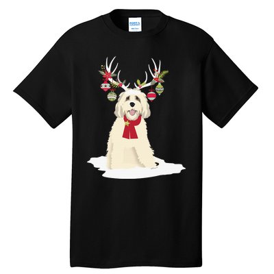 Goldendoodle Christmas Tree Light Pajama Dog Xmas Tall T-Shirt