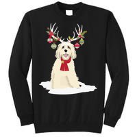 Goldendoodle Christmas Tree Light Pajama Dog Xmas Tall Sweatshirt