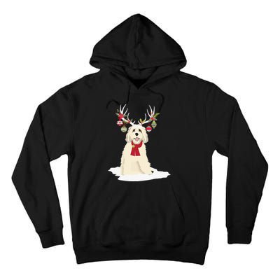 Goldendoodle Christmas Tree Light Pajama Dog Xmas Tall Hoodie