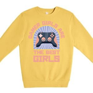 Gamer Cute Video Games Gift Premium Crewneck Sweatshirt