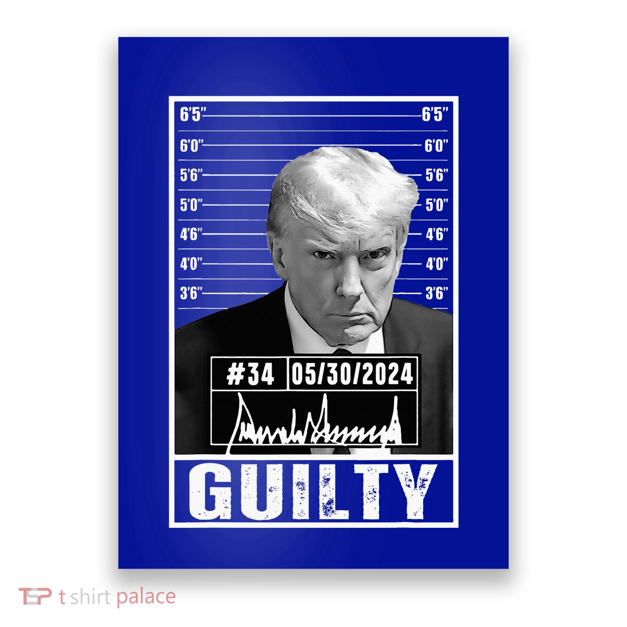 Guilty Conviction Verdict Donald Trump Mug Shot Jail Picture Poster