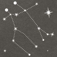 Gemini Constellation Zodiac Cotton Canvas Backpack
