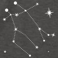 Gemini Constellation Zodiac Vector Backpack