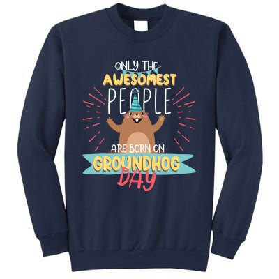 Groundhog Day Birthday 2021 Groundhog Lovers Gifts Sweatshirt