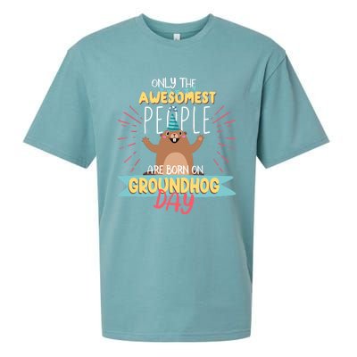 Groundhog Day Birthday 2021 Groundhog Lovers Gifts Sueded Cloud Jersey T-Shirt