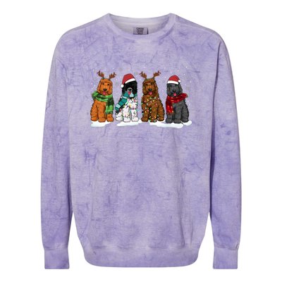 Goldendoodle Dogs Christmas Lights Golden Doodle Dog Xmas Pj Colorblast Crewneck Sweatshirt