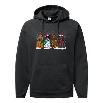 Goldendoodle Dogs Christmas Lights Golden Doodle Dog Xmas Pj Performance Fleece Hoodie