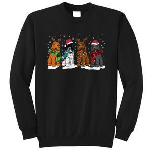 Goldendoodle Dogs Christmas Lights Golden Doodle Dog Xmas Pj Sweatshirt