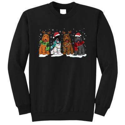 Goldendoodle Dogs Christmas Lights Golden Doodle Dog Xmas Pj Tall Sweatshirt