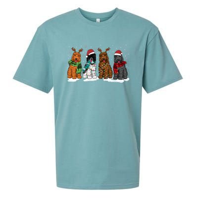 Goldendoodle Dogs Christmas Lights Golden Doodle Dog Xmas Pj Sueded Cloud Jersey T-Shirt