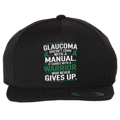Glaucoma DoesnT Come With A Manual It Comes With A Warrior Wool Snapback Cap