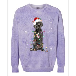 Great Dane Csanta Hat Fairy Lights Pajama Dog Lover Colorblast Crewneck Sweatshirt