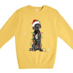 Great Dane Csanta Hat Fairy Lights Pajama Dog Lover Premium Crewneck Sweatshirt