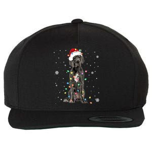 Great Dane Csanta Hat Fairy Lights Pajama Dog Lover Wool Snapback Cap