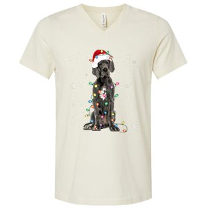 Great Dane Csanta Hat Fairy Lights Pajama Dog Lover V-Neck T-Shirt