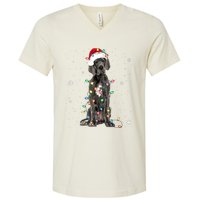 Great Dane Csanta Hat Fairy Lights Pajama Dog Lover V-Neck T-Shirt