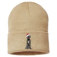 Great Dane Csanta Hat Fairy Lights Pajama Dog Lover Sustainable Knit Beanie