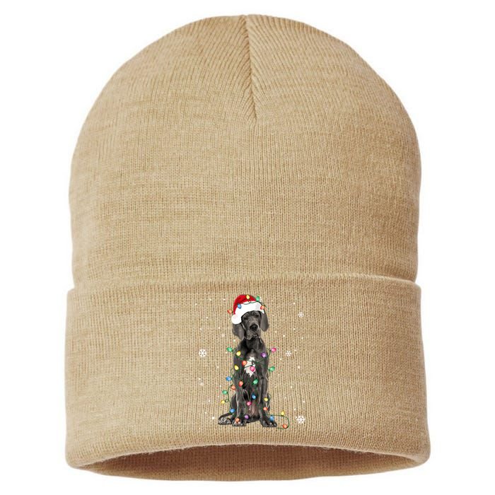 Great Dane Csanta Hat Fairy Lights Pajama Dog Lover Sustainable Knit Beanie