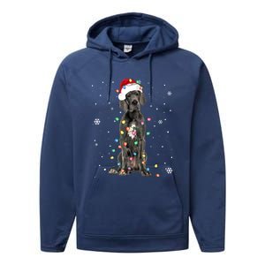 Great Dane Csanta Hat Fairy Lights Pajama Dog Lover Performance Fleece Hoodie